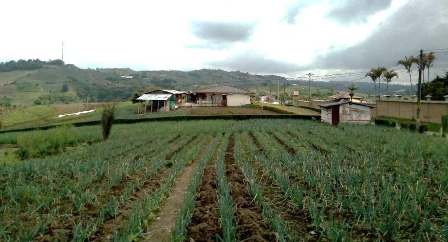 Panorámica de la extensión de La Hacienda vista desde La Bella