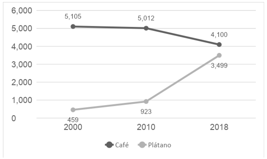 Figura 3. Evolución de las hectáreas de tierra sembradas de café y plátano en el municipio
						de Trujillo, 2000-2018