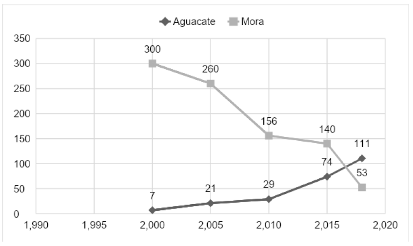 Figura 6. ectáreas de tierras sembradas de aguacate hass y mora, 2000-2018